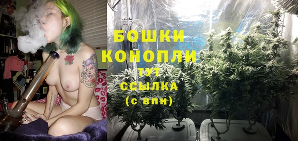 не бодяженный Бородино