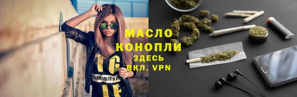 индика Бугульма