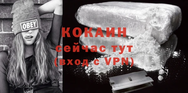не бодяженный Бородино