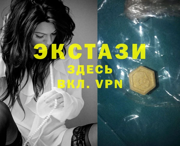 индика Бугульма