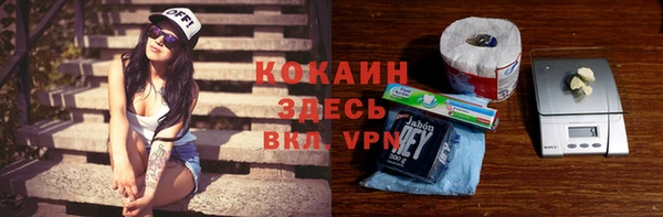 не бодяженный Бородино