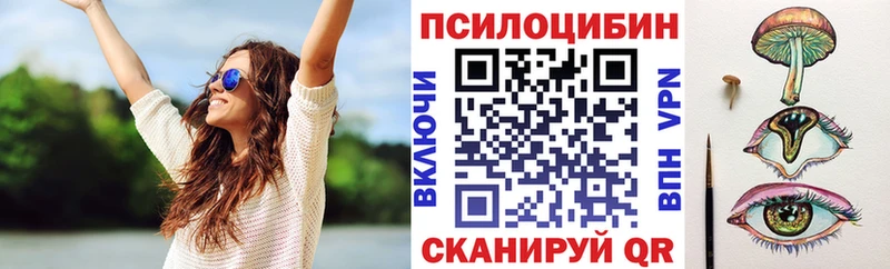 Купить закладки  Нарьян-Мар  Псилоцибиновые грибы Psilocybe 